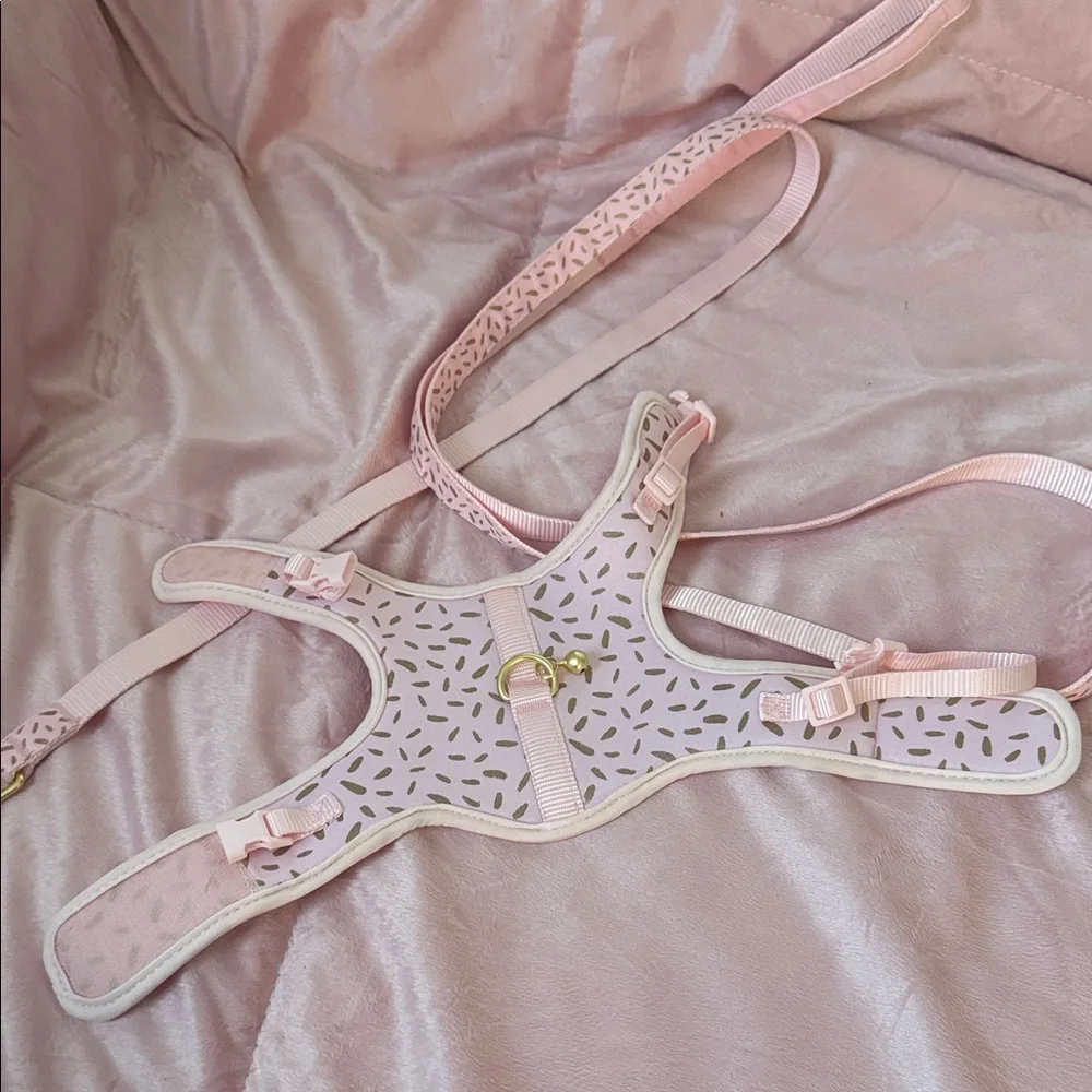 Whisker City Pink & Gold Cast Vest Harness and Leash Combo